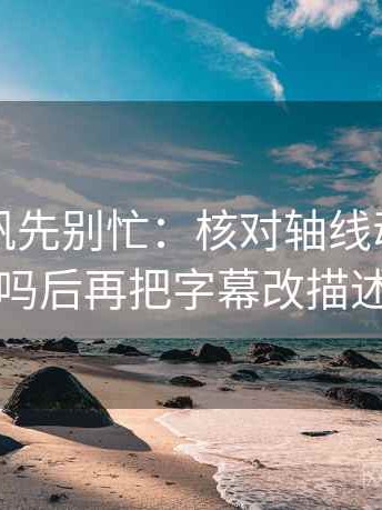 读爱一帆先别忙：核对轴线动起点了吗后再把字幕改描述