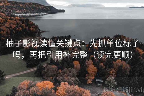 柚子影视读懂关键点：先抓单位标了吗，再把引用补完整（读完更顺）