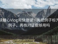 读糖心Vlog用快捷键：先把例子标为例子，再核对证据够用吗