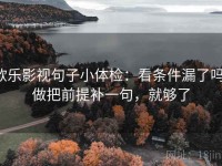 欧乐影视句子小体检：看条件漏了吗，做把前提补一句，就够了