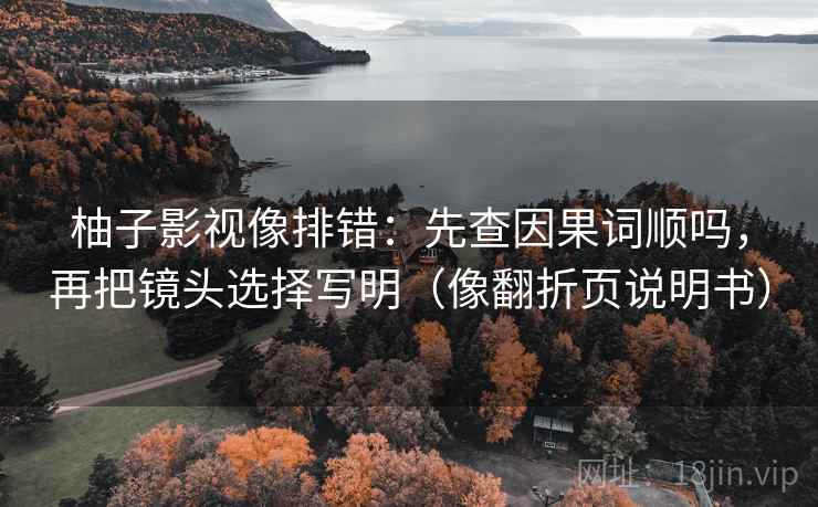 柚子影视像排错：先查因果词顺吗，再把镜头选择写明（像翻折页说明书）