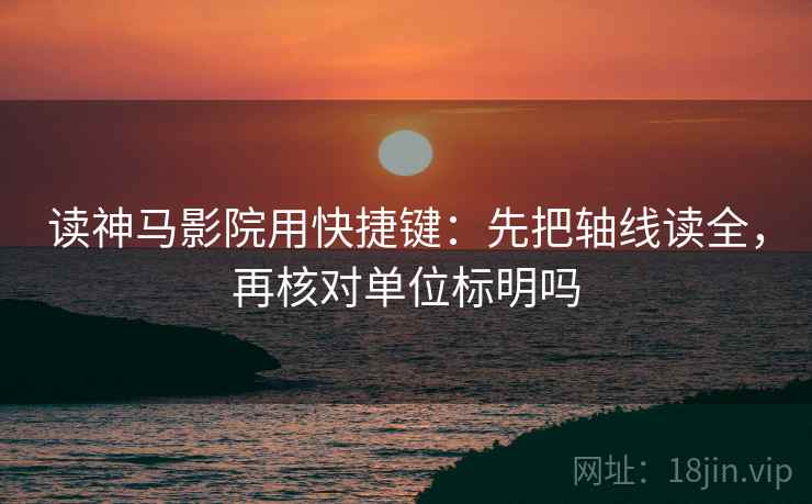 读神马影院用快捷键：先把轴线读全，再核对单位标明吗