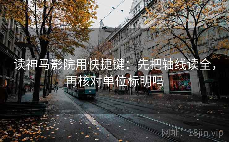 读神马影院用快捷键：先把轴线读全，再核对单位标明吗